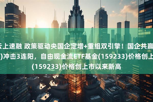 云上速融 政策驱动央国企定增+重组双引擎！国企共赢ETF(159719)冲击3连阳，自由现金流ETF基金(159233)价格创上市以来新高