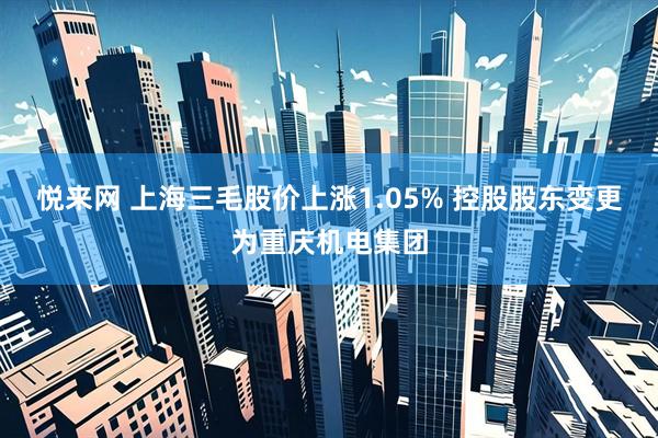 悦来网 上海三毛股价上涨1.05% 控股股东变更为重庆机电集团