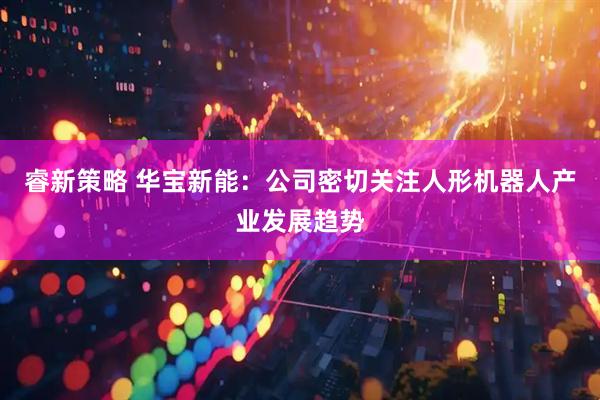 睿新策略 华宝新能：公司密切关注人形机器人产业发展趋势